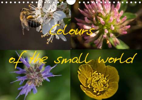 Antun Marakovic: Marakovic, A: Colours of the small world (Wall Calendar 2021, Kalender
