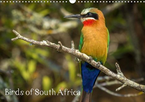 Sybrand le Roux &amp; Toon Sanders: le Roux &amp; Toon Sanders, S: Birds of South Africa (Wall Calen, Kalender