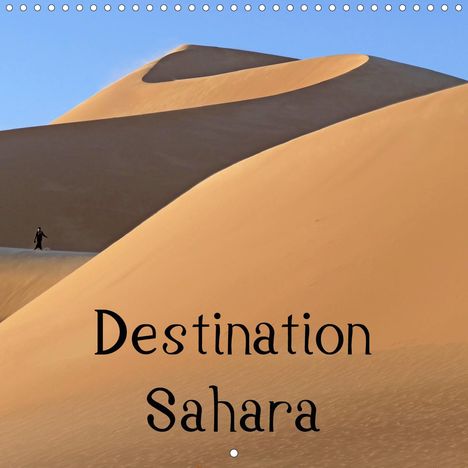 Knut Bormann: Bormann, K: Destination Sahara (Wall Calendar 2021 300 &time, Kalender