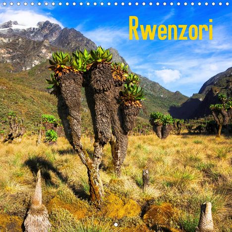 Martin Zwick: Zwick, M: Rwenzori (Wall Calendar 2021 300 × 300 mm Square), Kalender
