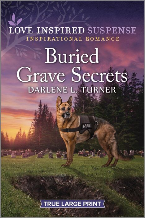 Darlene L. Turner: Buried Grave Secrets, Buch