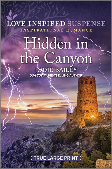 Jodie Bailey: Hidden in the Canyon, Buch