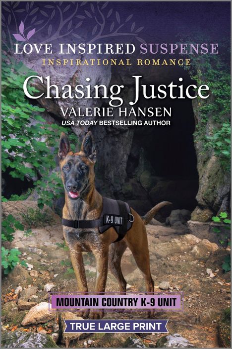 Valerie Hansen: Chasing Justice, Buch