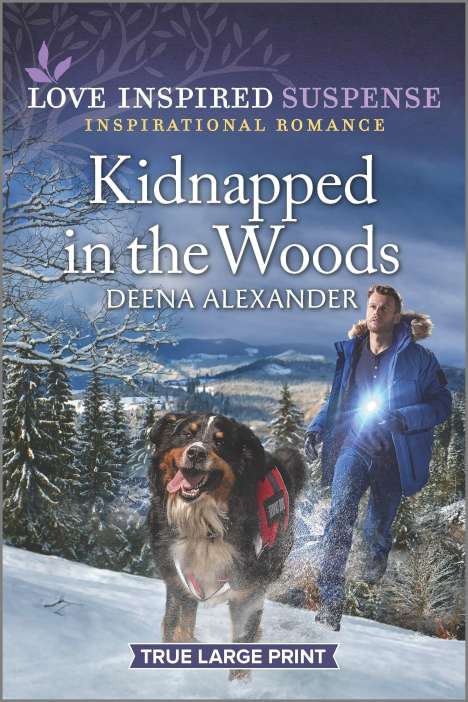 Deena Alexander: Kidnapped in the Woods, Buch