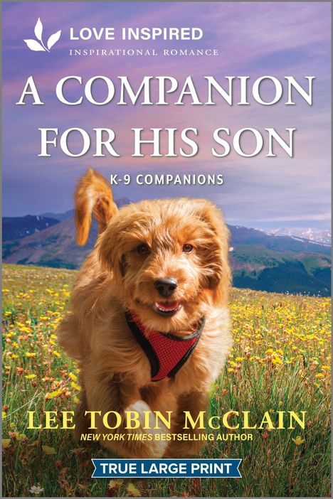 Lee Tobin McClain: A Companion for His Son, Buch