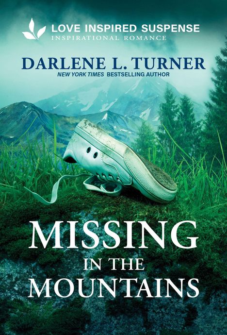 „Missing in the Mountains“, Schuh liegt im Gras, mit nebelverhangenen Bergen im Hintergrund.