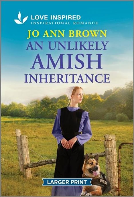 Jo Ann Brown: An Unlikely Amish Inheritance, Buch