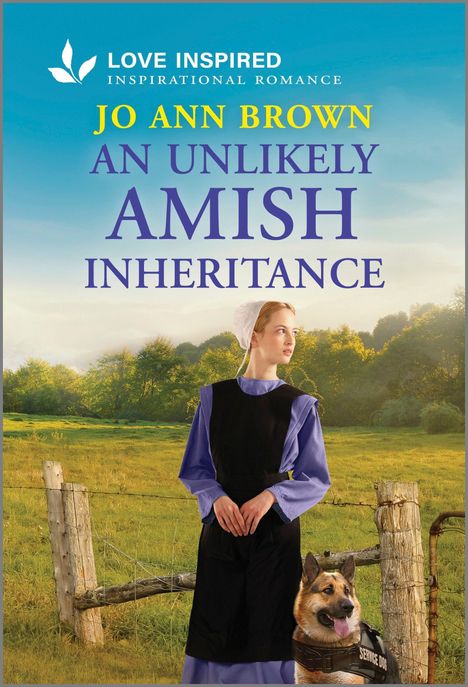 Jo Ann Brown: An Unlikely Amish Inheritance, Buch