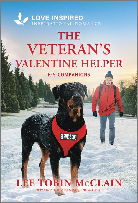 Lee Tobin McClain: The Veteran's Valentine Helper, Buch