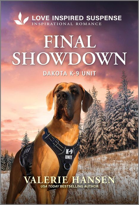 Valerie Hansen: Final Showdown, Buch