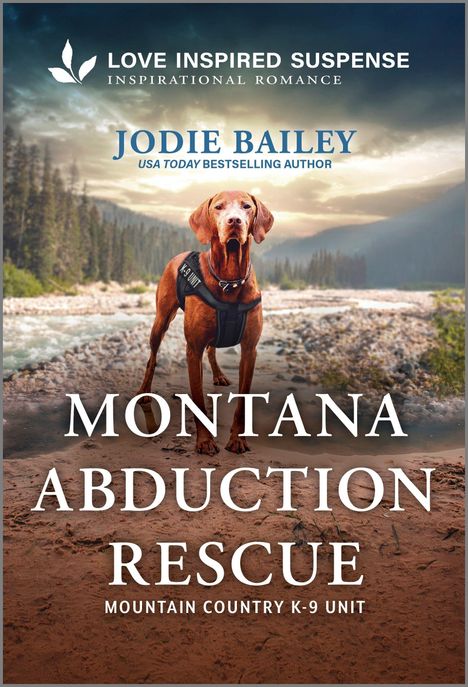 Jodie Bailey: Montana Abduction Rescue, Buch