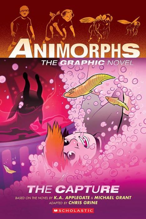 K A Applegate: The Capture (Animorphs Graphix #6), Buch