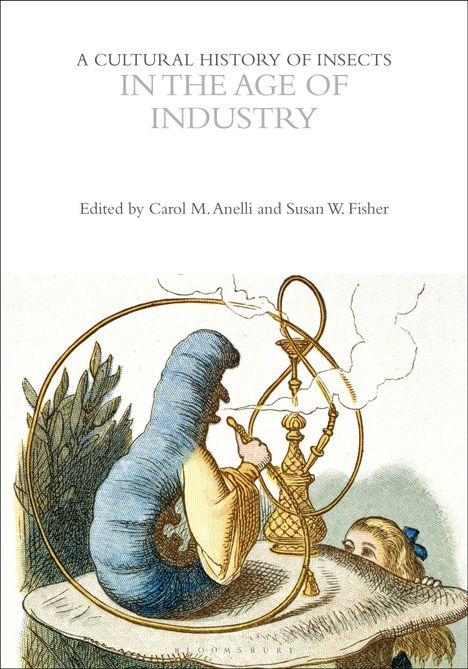A Cultural History of Insects in the Age of Industry, Buch