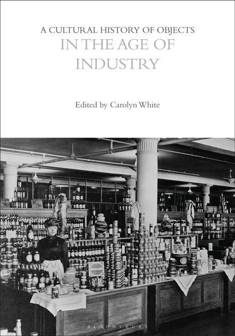 A Cultural History of Objects in the Age of Industry, Buch