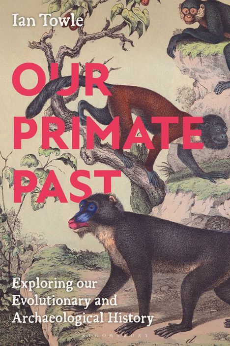 Text: "OUR PRIMATE PAST" und "Exploring our Evolutionary and Archaeological History" von Ian Towle. Illustration von Affen.