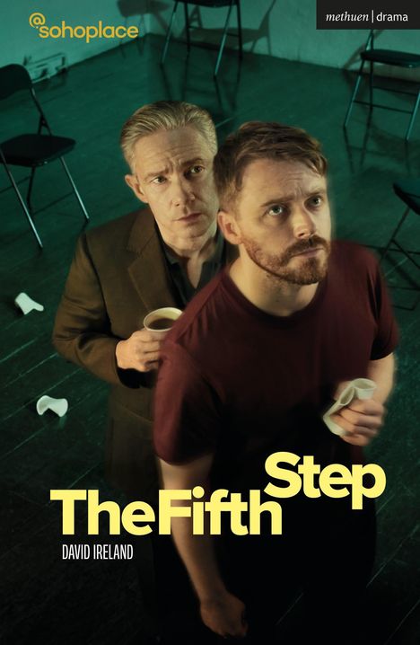 David Ireland: The Fifth Step, Buch