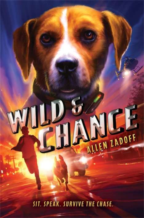 Allen Zadoff: Wild &amp; Chance, Buch