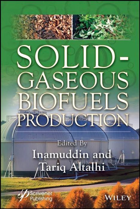 Solid-Gaseous Biofuels Production, Buch