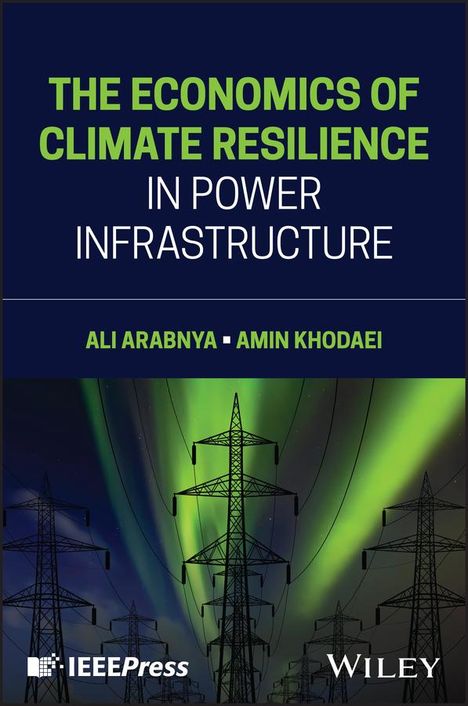 Ali Arabnya: The Economics of Climate Resilience in Power Infrastructure, Buch