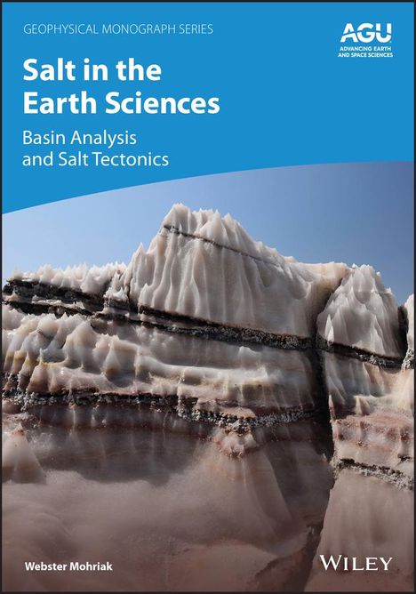 Webster Mohriak: Salt in the Earth Sciences, Buch