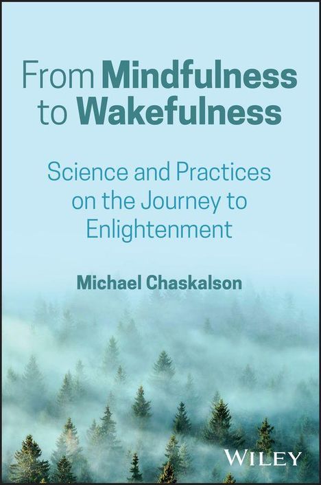 Text: "From Mindfulness to Wakefulness", "Science and Practices on the Journey to Enlightenment", "Michael Chaskalson". Nebliger Wald.