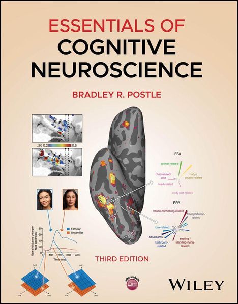 "Essentials of Cognitive Neuroscience", Bradley R. Postle, Third Edition. Illustration von Gehirnregionen und Diagrammen.