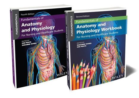 Zwei Buchcover: "Fundamentals of Anatomy and Physiology" und Workbook, bunte Anatomie-Illustrationen.