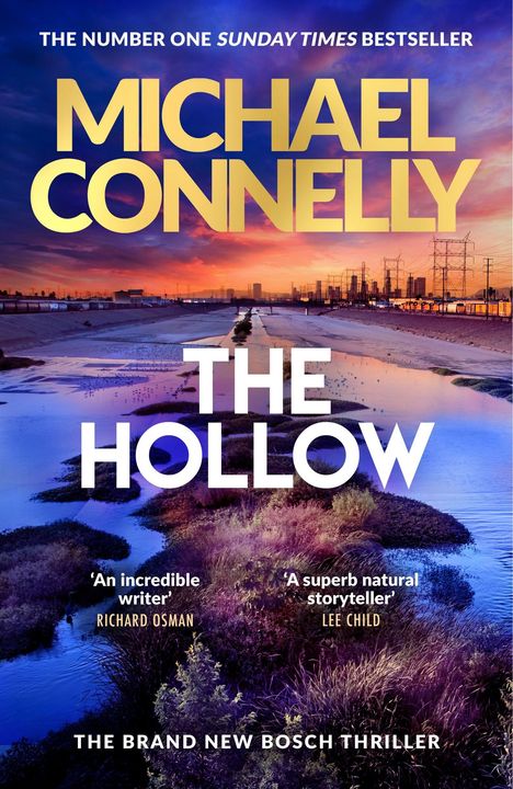 "THE NUMBER ONE SUNDAY TIMES BESTSELLER", "MICHAEL CONNELLY", "THE HOLLOW", Landschaft mit Fluss und Stadt im Hintergrund.