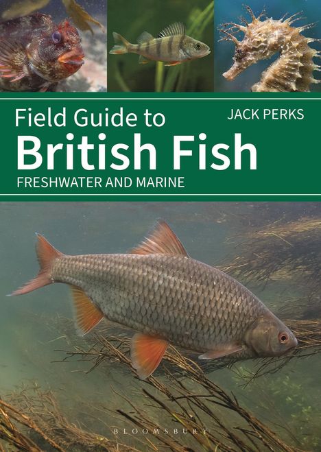 Jack Perks: Field Guide to British Fish, Buch