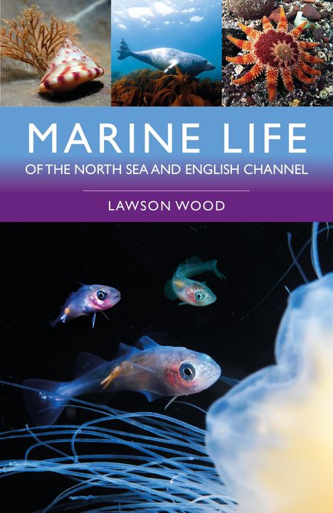 Lawson Wood: Marine Life of the North Sea and English Channel, Buch