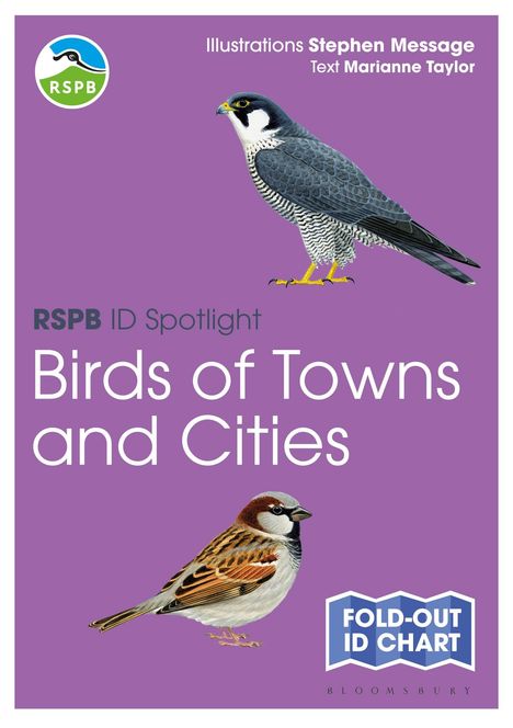 Marianne Taylor: RSPB ID Spotlight - Birds of Towns and Cities, Buch