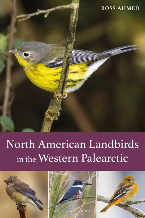 Text: North American Landbirds in the Western Palearctic. Oben ein kleiner Vogel auf einem Ast; unten drei Vögel.