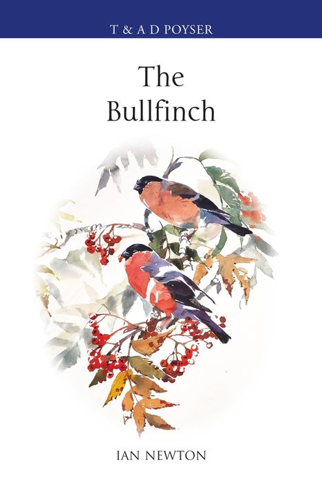 „T & A D Poyser“, „The Bullfinch“, „Ian Newton“. Aquarellzeichnung von zwei Dompfaffen auf einem Zweig mit Beeren.
