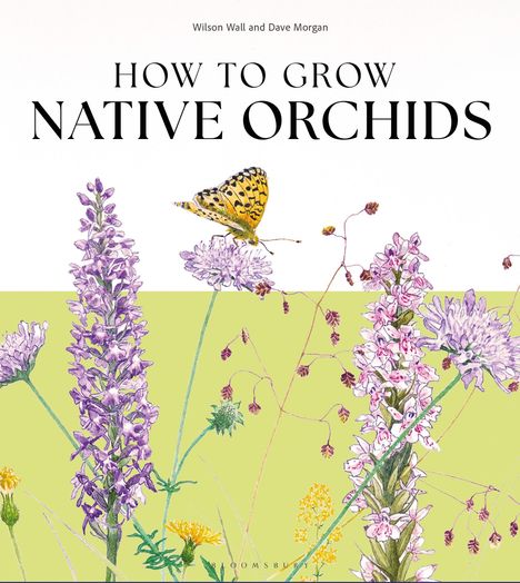 „How to Grow Native Orchids“. Illustration von Orchideen und einem Schmetterling auf blassgrünem Hintergrund.