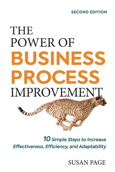 Susan Page: The Power of Business Process Improvement, Buch