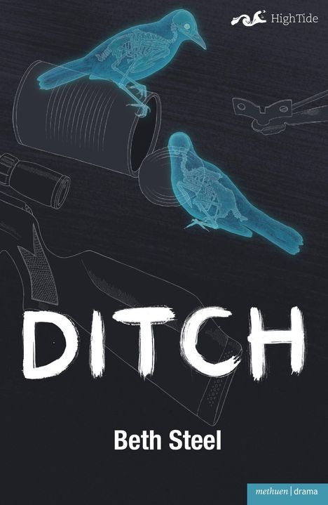 Beth Steel: Ditch, Buch