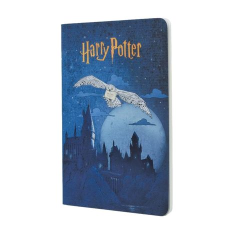 "Harry Potter" steht oben. Eine Illustration zeigt eine Eule, die über ein Schloss fliegt, im Hintergrund ein Vollmond.