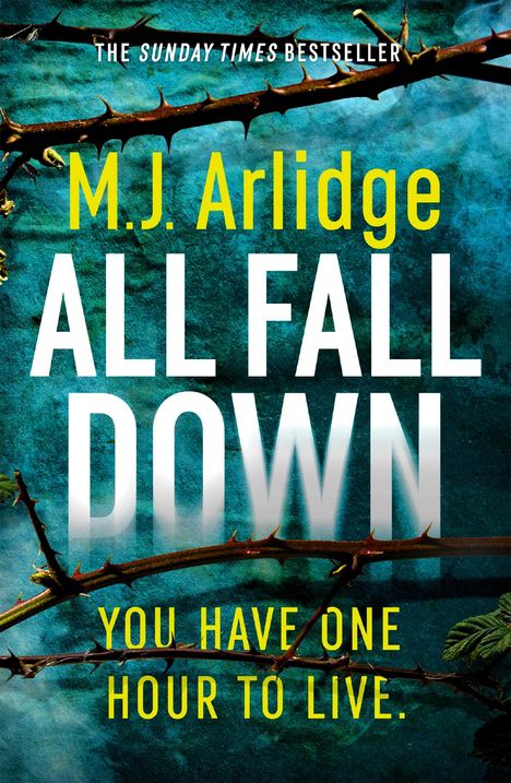 M. J. Arlidge: All Fall Down, Buch