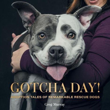 Greg Murray: Gotcha Day, Buch