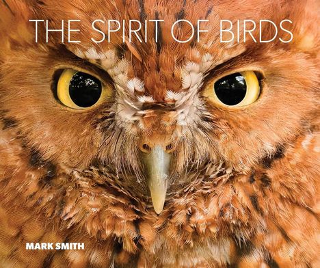 Text: "THE SPIRIT OF BIRDS" und "MARK SMITH". Großaufnahme eines Eulengesichts mit auffälligen gelben Augen.