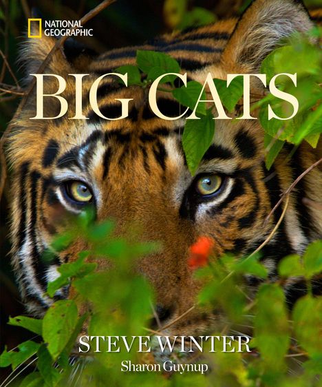 Große, glänzende Buchstaben "BIG CATS". Darunter "STEVE WINTER" und "Sharon Guynup". Ein Tiger schaut durch Blätter.