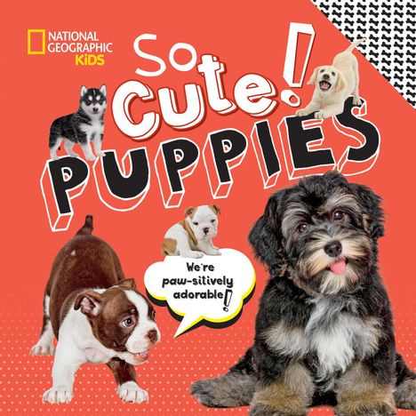 Crispin Boyer: So Cute! Puppies, Buch