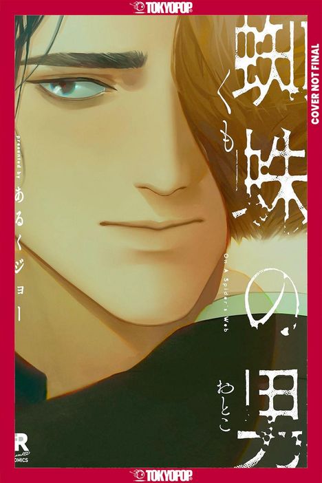 Text: "On a Spider’s Web", "COVER NOT FINAL". Illustration: Ein Mann mit ernstem Blick, dunkles Haar verdeckt teilweise das Gesicht.