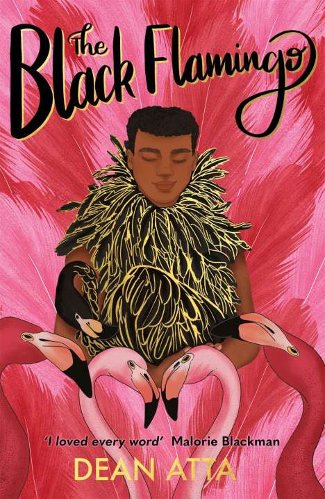 Dean Atta: Black Stories Matter: The Black Flamingo, Buch