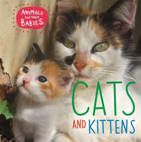 Annabelle Lynch: Lynch, A: Animals and their Babies: Cats &amp; kittens, Buch