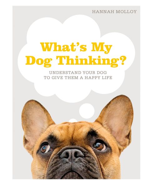 Hannah Molloy: What's My Dog Thinking?, Buch