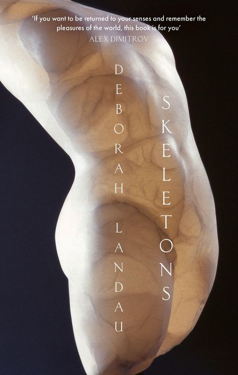 Deborah Landau: Skeletons, Buch