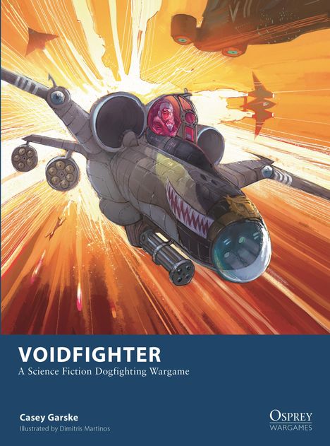 Casey Garske: Voidfighter, Buch