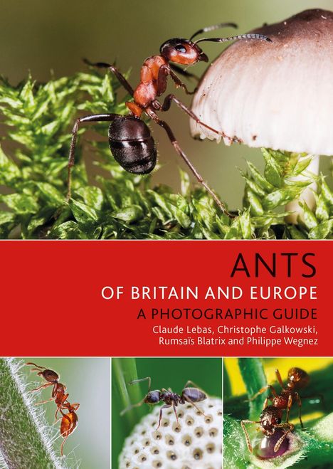 Claude Lebas: Ants of Britain and Europe, Buch