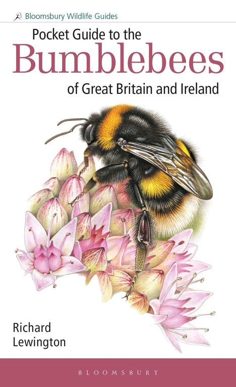 Richard Lewington: Pocket Guide to the Bumblebees of Great Britain and Ireland, Buch
